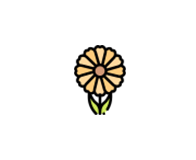 Calendula petals