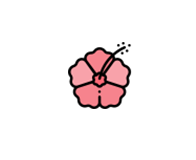 Hibiscus0