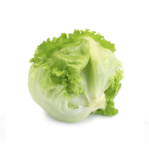 Lettuce