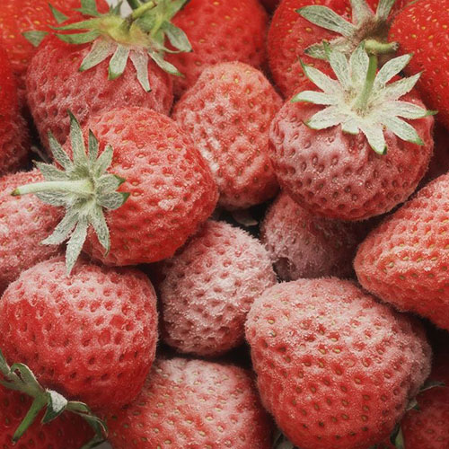 Strawberries